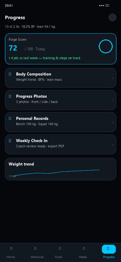 Progress analytics screen